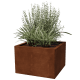Jardineras