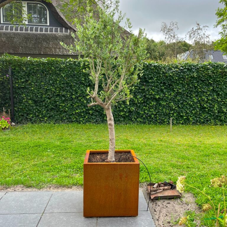 Jardinera de acero corten Miami 600x600