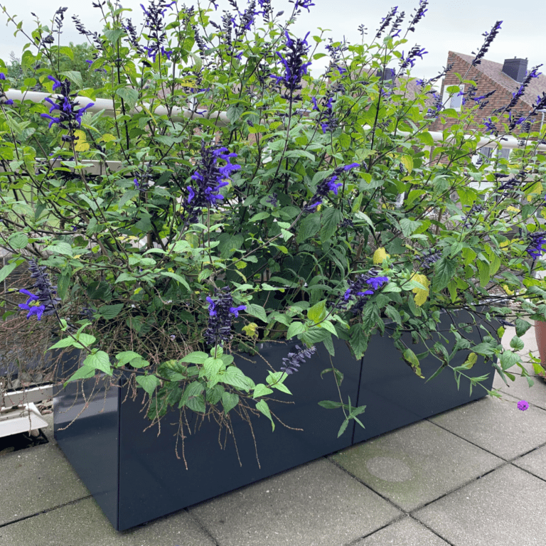 Jardinera de acero con tratamiento electrostático Texas xxl 1600x500