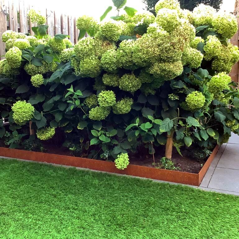 Bordura de acero corten con borde doblado 13 cm (longitud: 150 cm)