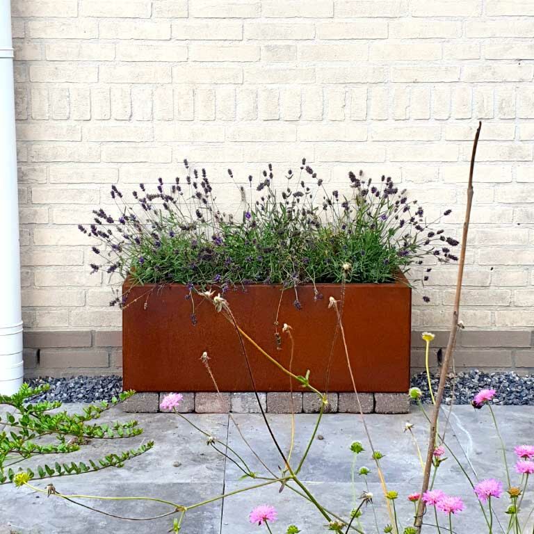 Jardinera de acero corten Texas 30 x 80 cm