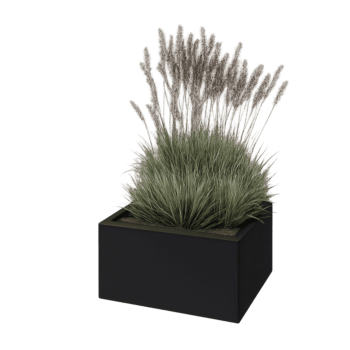Jardinera de acero - Rectángulo - 60 x 50 x 30 cm - RAL9005 mate (negro) - Sin placa inferior