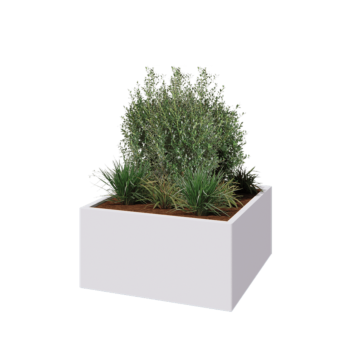 Jardinera de acero - Cuadrado - 100 x 100 x 50 cm - RAL9010 mate (blanco) - Sin placa inferior