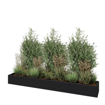 Jardinera de fibra de vidrio - Rectángulo - 200 x 30 x 20 cm - RAL7021 mate (gris negruzco) - Con fondo