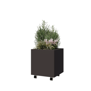 Jardinera de acero - Cuadrado - 50 x 50 x 50 cm - RAL7016 mate (gris antracita) - Con placa inferior - Con ruedas