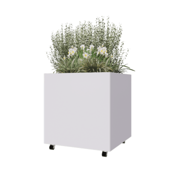 Jardinera de acero - Cuadrado - 80 x 80 x 80 cm - RAL9010 mate (blanco) - Con placa inferior - Con ruedas