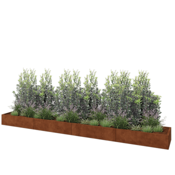 Jardinera XXL de acero corten - Rectángulo - 480 x 60 x 30 cm - Con placa inferior
