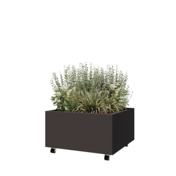 Jardinera de acero - Cuadrado - 80 x 80 x 40 cm - RAL7016 mate (gris antracita) - Con placa inferior - Con ruedas