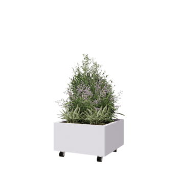 Jardinera de acero - Cuadrado - 60 x 60 x 30 cm - RAL9010 mate (blanco) - Con placa inferior - Con ruedas