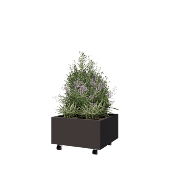 Jardinera de acero - Cuadrado - 60 x 60 x 30 cm - RAL7016 mate (gris antracita) - Con placa inferior - Con ruedas