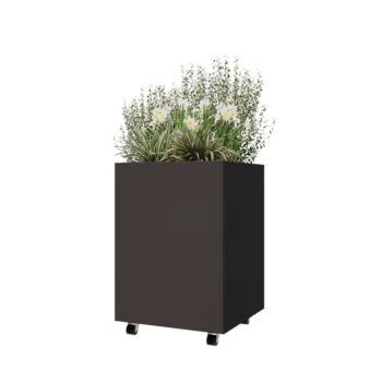 Jardinera de acero - Cuadrado - 60 x 60 x 80 cm - RAL7016 mate (gris antracita) - Con placa inferior - Con ruedas