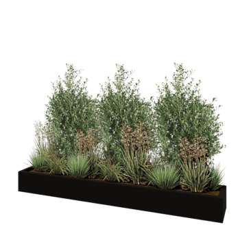 Jardinera de fibra de vidrio - Rectángulo - 200 x 30 x 20 cm - RAL9005 mate (negro) - Con fondo