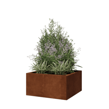 Jardinera de acero corten - Cuadrado - 60 x 60 x 30 cm - Con placa inferior