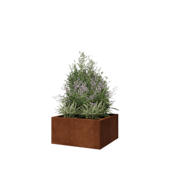 Jardinera de acero corten - Cuadrado - 60 x 60 x 30 cm - Sin placa inferior