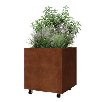Jardinera de acero corten - Cuadrado - 60 x 60 x 60 cm - Con placa inferior - Con ruedas