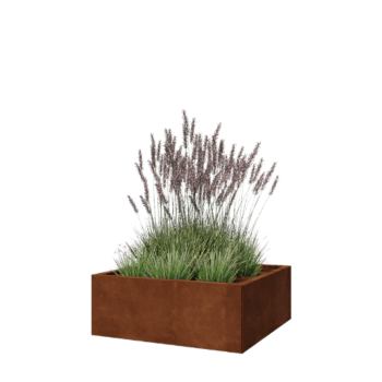 Jardinera de acero corten - Cuadrado - 80 x 80 x 30 cm - Con placa inferior