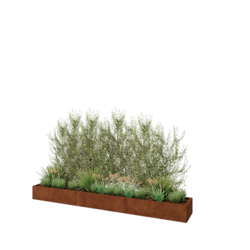 Jardinera XXL de acero corten - Rectángulo - 360 x 50 x 30 cm - Sin placa inferior