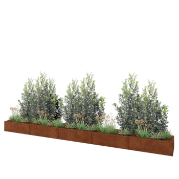 Jardinera XXL de acero corten - Rectángulo - 500 x 50 x 30 cm - Con placa inferior