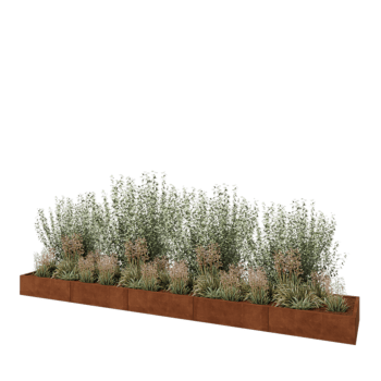 Jardinera XXL de acero corten - Rectángulo - 500 x 80 x 30 cm - Sin placa inferior