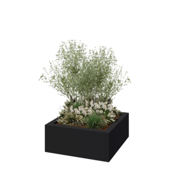 Jardinera de fibra de vidrio - Cuadrado - 100 x 100 x 40 cm - RAL7021 mate (gris negruzco) - Con fondo