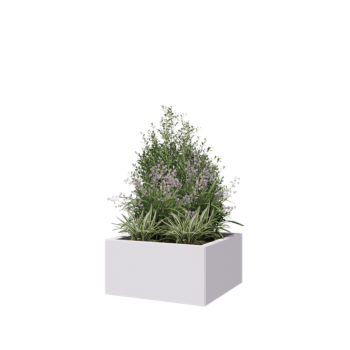 Jardinera de acero - Cuadrado - 60 x 60 x 30 cm - RAL9010 mate (blanco) - Sin placa inferior