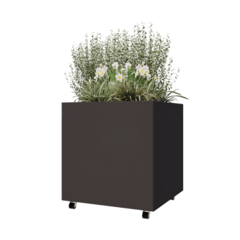 Jardinera de acero - Cuadrado - 80 x 80 x 80 cm - RAL7016 mate (gris antracita) - Con placa inferior - Con ruedas