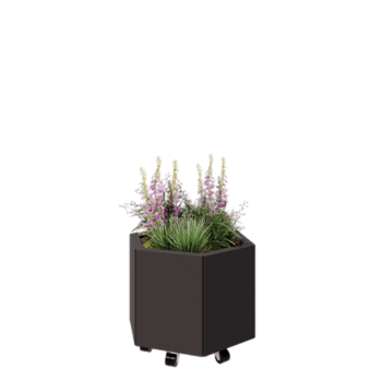 Jardinera de acero - Hexágono - 59,3 x 52 x 40 cm - RAL7016 mate (gris antracita) - Con placa inferior - Con ruedas