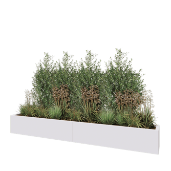 Jardinera XXL de acero - Rectángulo - 240 x 30 x 30 cm - RAL9010 mate (blanco) - Sin placa inferior