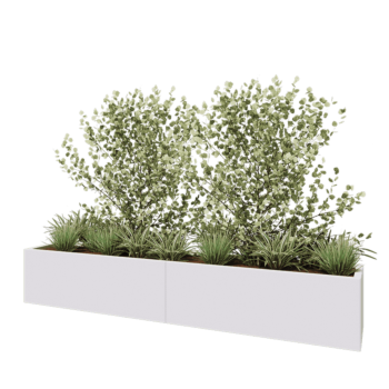 Jardinera XXL de acero - Rectángulo - 240 x 40 x 40 cm - RAL9010 mate (blanco) - Con placa inferior