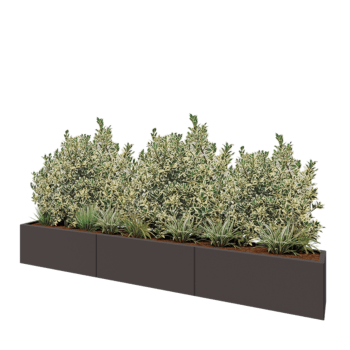 Jardinera XXL de acero - Rectángulo - 300 x 30 x 40 cm - RAL7016 mate (gris antracita) - Sin placa inferior