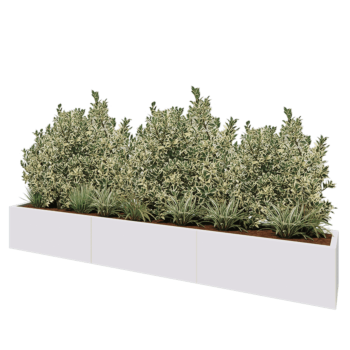 Jardinera XXL de acero - Rectángulo - 300 x 40 x 40 cm - RAL9010 mate (blanco) - Sin placa inferior