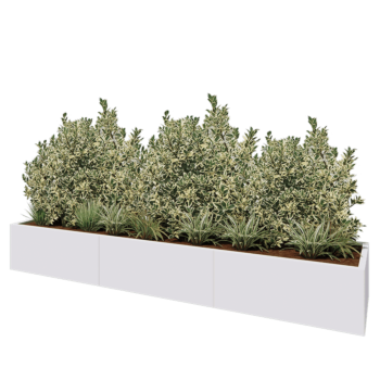 Jardinera XXL de acero - Rectángulo - 300 x 60 x 40 cm - RAL9010 mate (blanco) - Con placa inferior