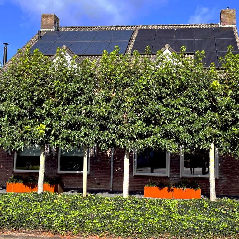Jardinera de acero corten Texas xxl 200 x 60 cm