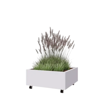 Jardinera de acero - Cuadrado - 80 x 80 x 30 cm - RAL9010 mate (blanco) - Con placa inferior - Con ruedas