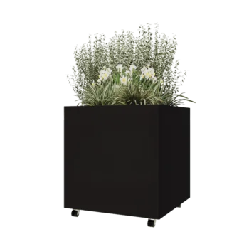 Jardinera de acero - Cuadrado - 80 x 80 x 80 cm - RAL9005 mate (negro) - Con placa inferior - Con ruedas