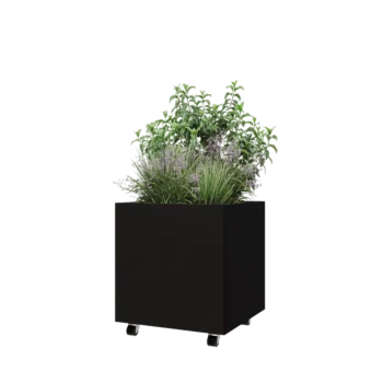 Jardinera de acero - Cuadrado - 60 x 60 x 60 cm - RAL9005 mate (negro) - Con placa inferior - Con ruedas