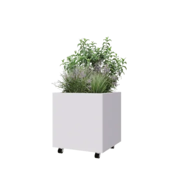 Jardinera de acero - Cuadrado - 60 x 60 x 60 cm - RAL9010 mate (blanco) - Con placa inferior - Con ruedas
