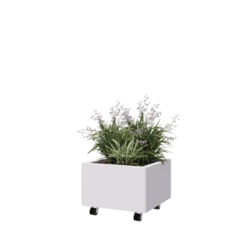 Jardinera de acero - Cuadrado - 50 x 50 x 30 cm - RAL9010 mate (blanco) - Con placa inferior - Con ruedas