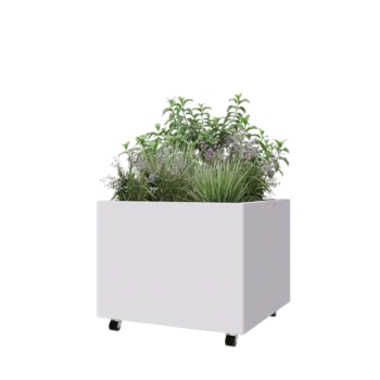 Jardinera de acero - Cuadrado - 80 x 80 x 60 cm - RAL9010 mate (blanco) - Con placa inferior - Con ruedas
