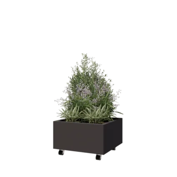 Jardinera de acero - Cuadrado - 60 x 60 x 30 cm - RAL7016 mate (gris antracita) - Con placa inferior - Con ruedas