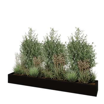 Jardinera de fibra de vidrio - Rectángulo - 200 x 30 x 20 cm - RAL9005 mate (negro) - Con fondo