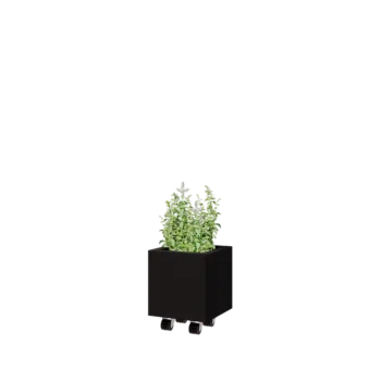 Jardinera de acero - Cuadrado - 30 x 30 x 30 cm - RAL9005 mate (negro) - Con placa inferior - Con ruedas