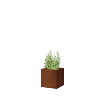 Jardinera de acero corten - Cuadrado - 30 x 30 x 30 cm - Sin placa inferior