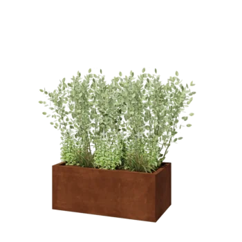 Jardinera de acero corten - Rectángulo - 100 x 50 x 40 cm - Con placa inferior