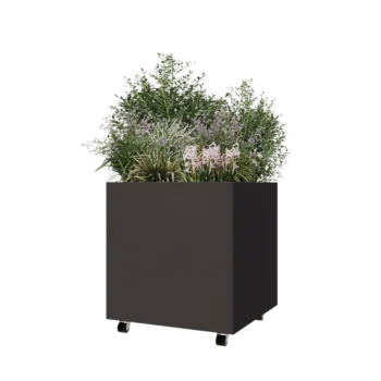 Jardinera de acero - Cuadrado - 70 x 70 x 70 cm - RAL7016 mate (gris antracita) - Con placa inferior - Con ruedas