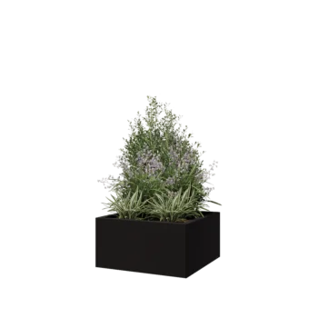 Jardinera de acero - Cuadrado - 60 x 60 x 30 cm - RAL9005 mate (negro) - Sin placa inferior