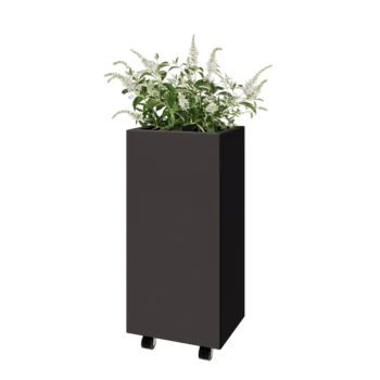 Jardinera de acero - Rectángulo - 40 x 30 x 80 cm - RAL7016 mate (gris antracita) - Con placa inferior - Con ruedas