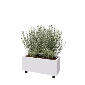 Jardinera de acero - Rectángulo - 80 x 30 x 30 cm - RAL9010 mate (blanco) - Con placa inferior - Con ruedas