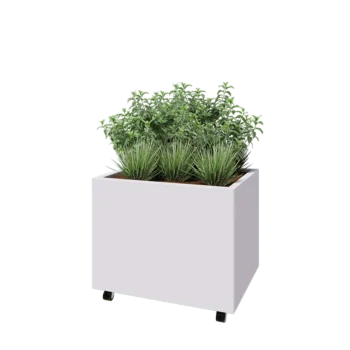 Jardinera de acero - Rectángulo - 80 x 60 x 60 cm - RAL9010 mate (blanco) - Con placa inferior - Con ruedas