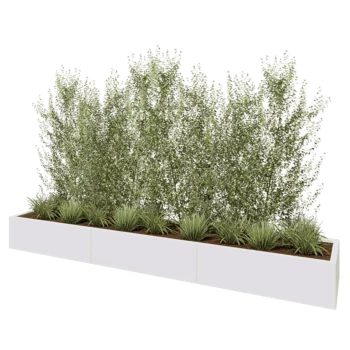 Jardinera XXL de acero - Rectángulo - 300 x 50 x 30 cm - RAL9010 mate (blanco) - Sin placa inferior